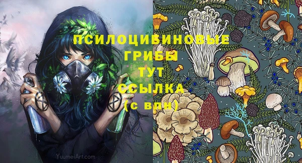 твердый Алзамай