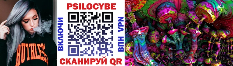 Псилоцибиновые грибы Psilocybine cubensis  Спасск 